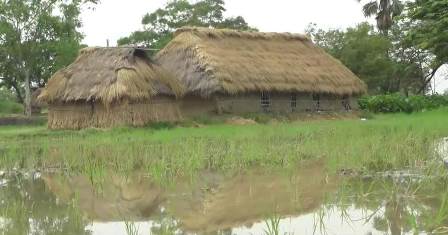 School runs at ramshackle thatched house built in paddy filed in Kendrapara