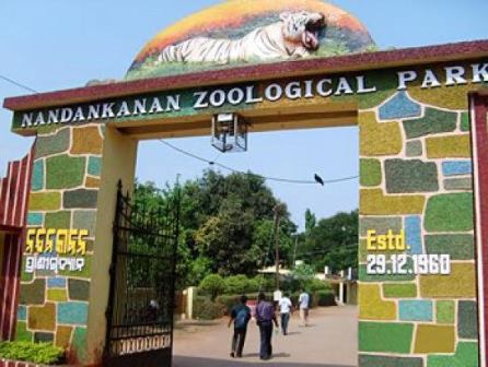Nandankanan Zoo gets 28 new animals