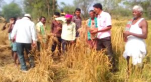 Odisha farmers