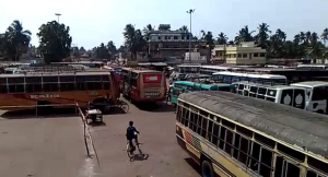 272 Special buses to Puri for this Ratha Jatra 