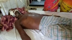 Sundargarh man injured in elephant attack