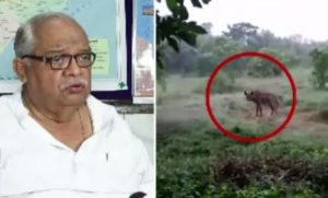 ‘Niali Sheep Killing’ visuals shown by media is fake: Minister 
