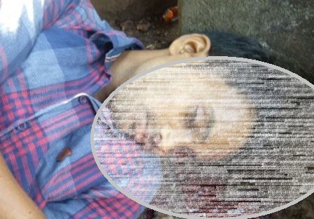 Man guns down brother to death in Odisha