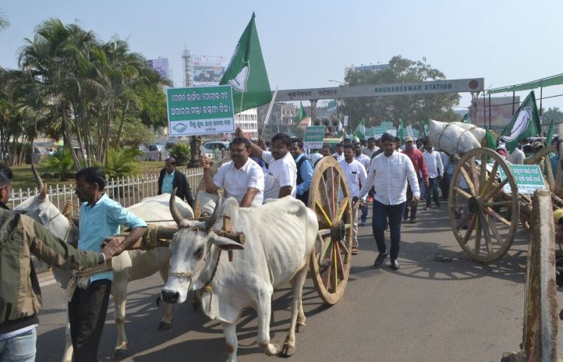 BJD rides bullock cart to protest oil price hike
