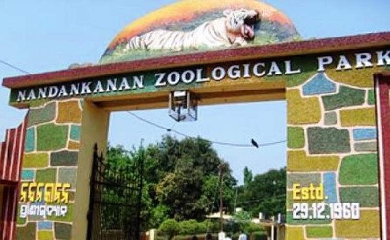 Two Enclosures To Be Inaugurated On Nandankanan Foundation Day