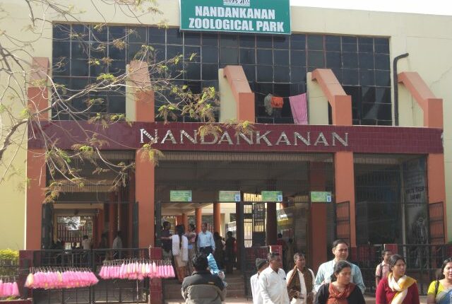 Nandankanan Celebrates 60th Foundation Day