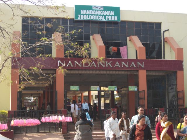 Nandankanan Zoo foundation day