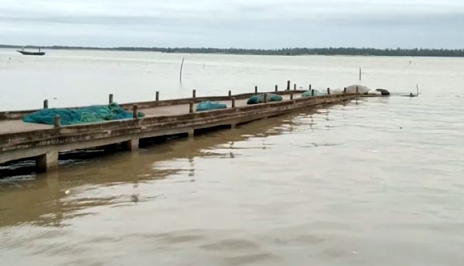 Odisha Govt To Start Houseboat Operations In Chilika And Bhitarkanika
