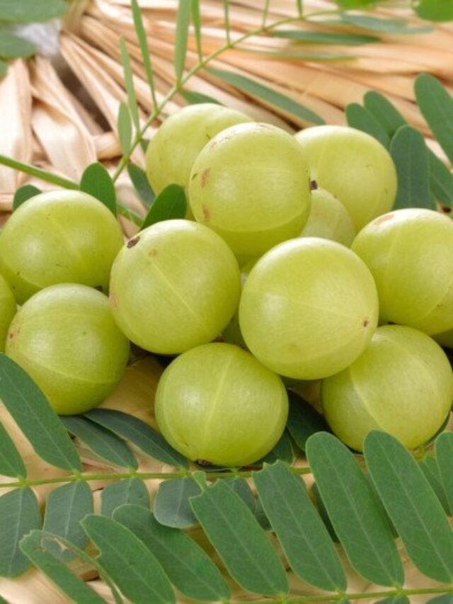 Nature’s boon for good health Amla