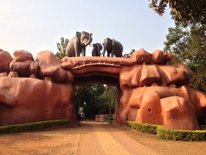 Chandaka – Dampara Wildlife Sanctuary
