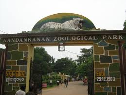 Cyclone Fani: Nandankanan zoo to remain closed for three days