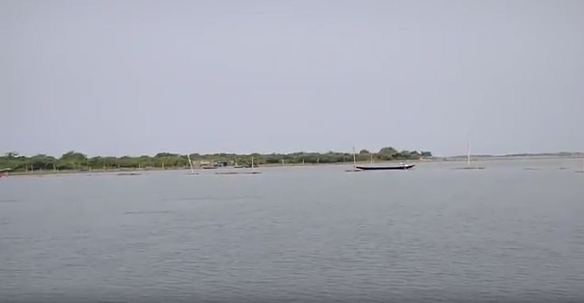 body found floating in chilika