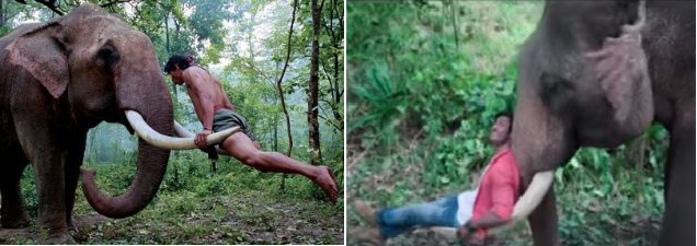 Trailer release of Vidyut Jamwal’s Junglee