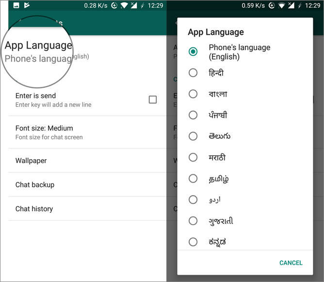 Learn how to use WhatsApp in local language