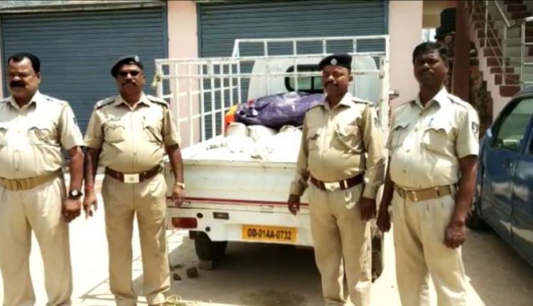 Illicit country liquor seized in Odisha