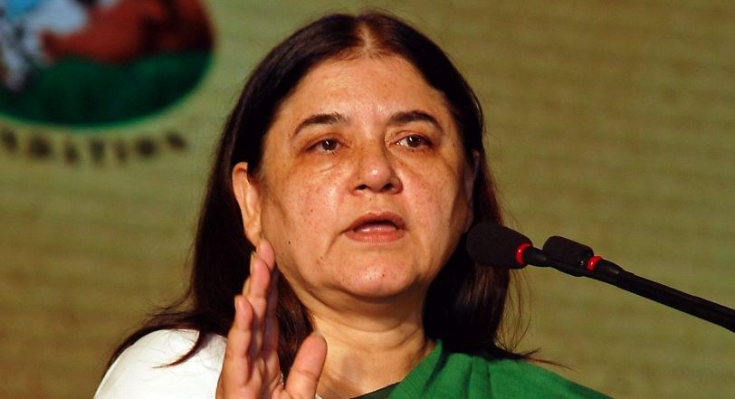 EC Issues Showcause Notice To Maneka Gandhi Over ‘Vote For Me’ Remarks To Muslims