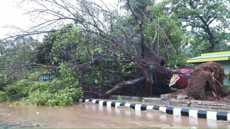 Cyclone Fani wreaks havoc across Bhubaneswar