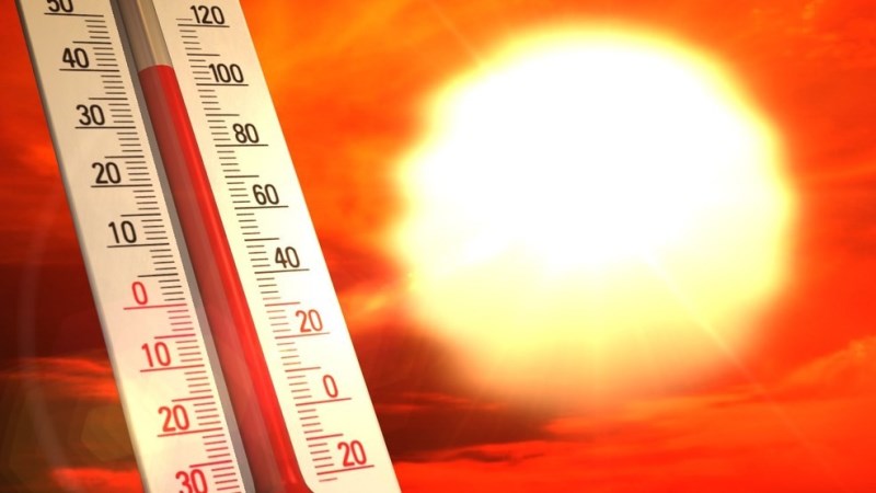 That Represents Heatwave New Zealand faces severe heat wave, scorching temperatures