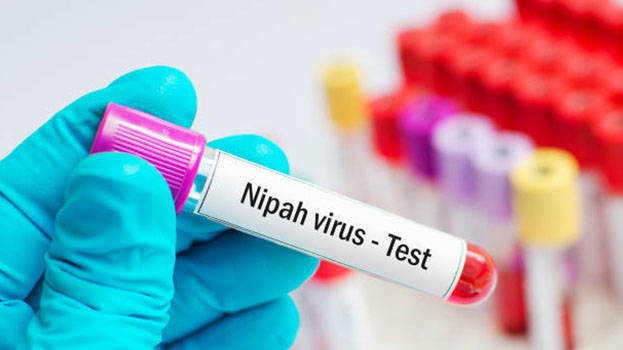 23-year-old student tests positive for Nipah: Kerala Govt