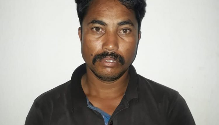 STF Nabs Ganja Smuggler From Maharashtra