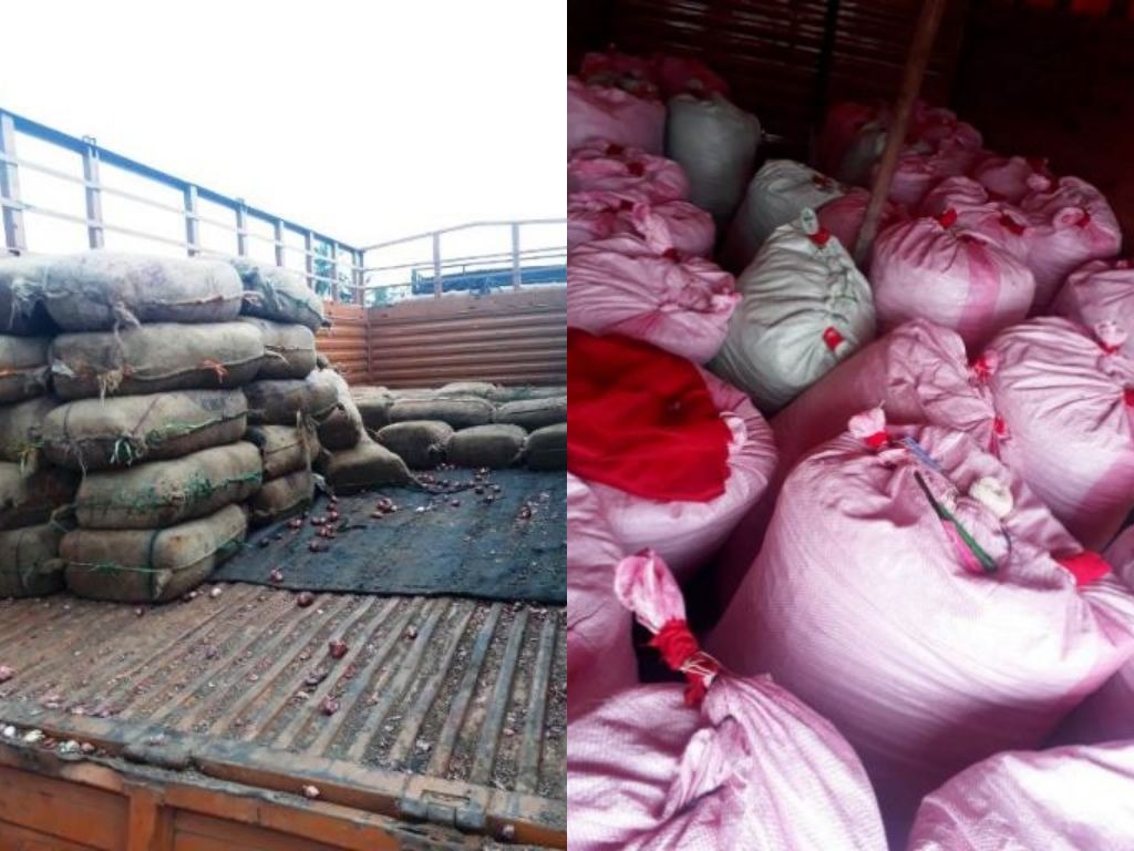 Odisha: Ganja Worth Rs 1.48 Crore Seized From Truck Transporting Onions