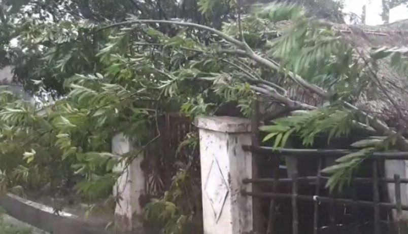 Cyclone Bulbul : Heavy rains lash several parts of Odisha