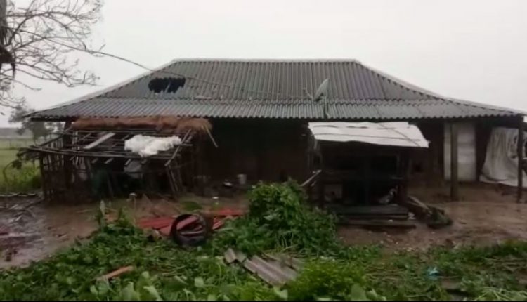 Cyclone Bulbul; Elderly Man Killed In Kendrapara