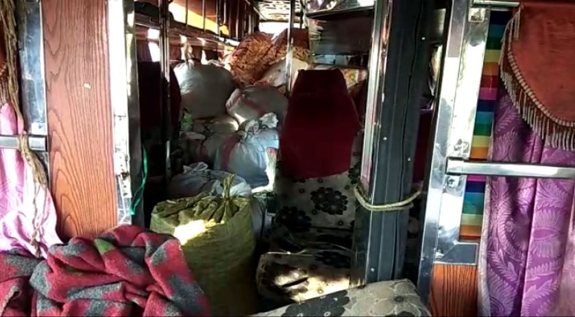 Smuggled snails, seashells on board bus seized In Odisha