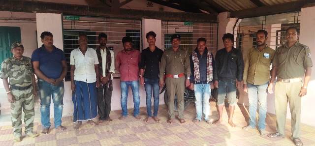 Pangolin Smuggling Racket Busted In Odisha, Eight Arrested