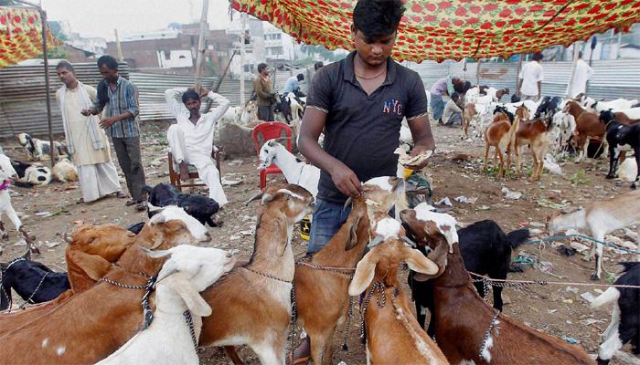 Animal sacrifice banned