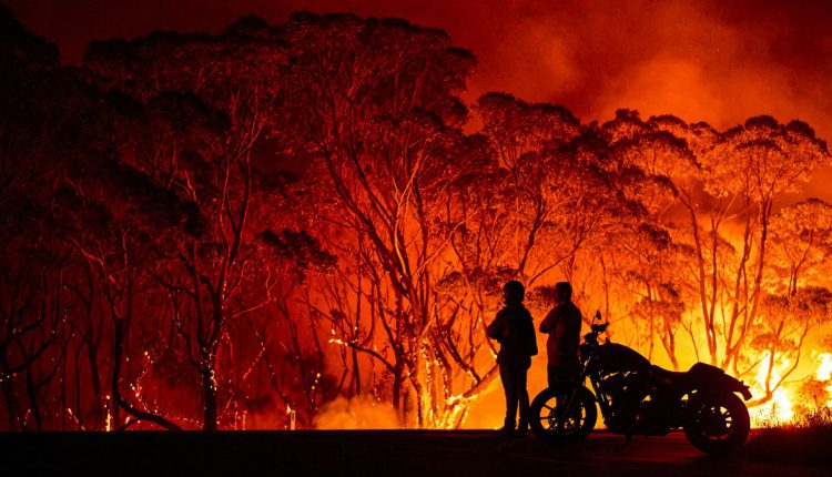 tourism affected by bushfires