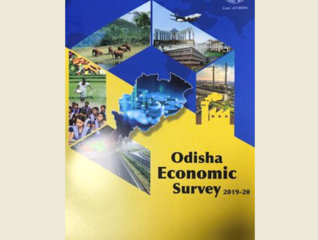 Odisha Economic Survey 2019-20