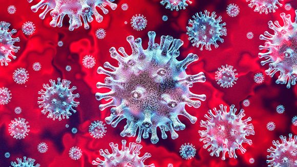 coronavirus 3rd death in india