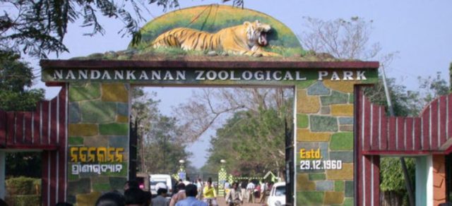 nandankanan zoo reopened