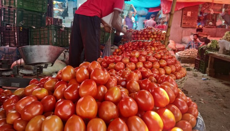 tomato price in odisha