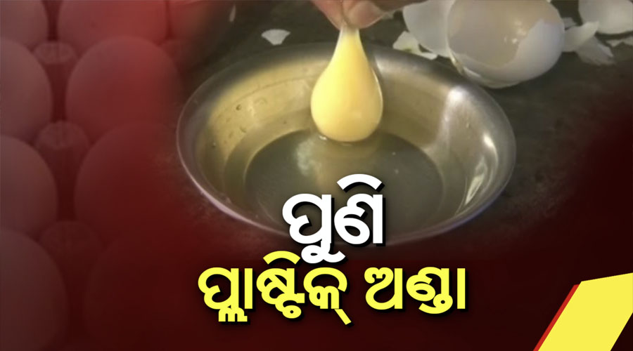Plastic egg found in Jajpur of Odisha