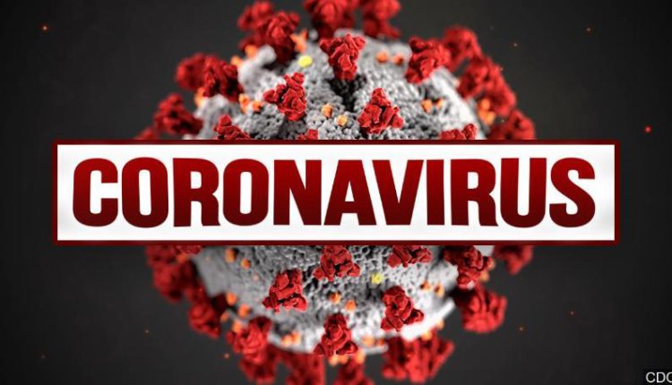 coronavirus india update