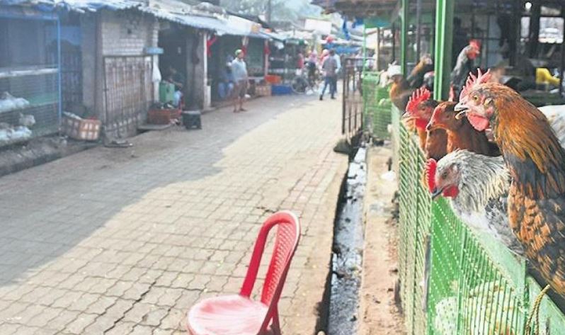 markets closed odisha