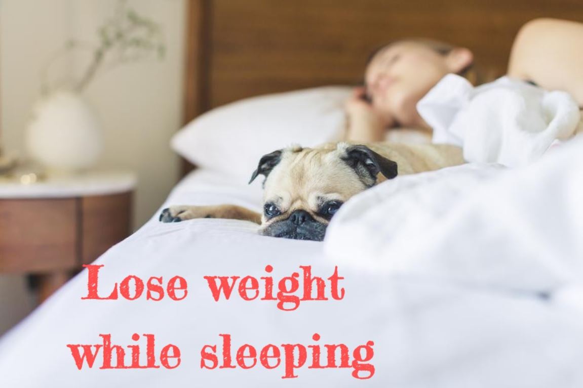 Loose Weight While Sleeping