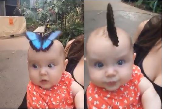 butterfly sits on cute baby head viral video