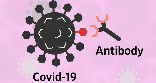 covid antibodies