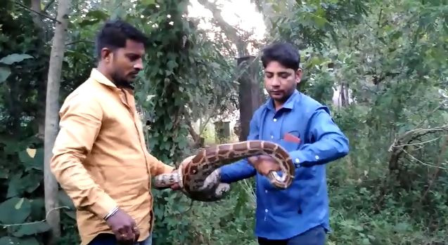 python rescue balangir