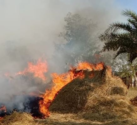 paddy caught fire in kalahandi