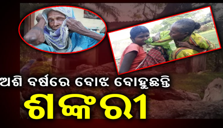 old lady seeks govt help bhadrak