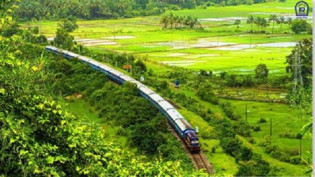 Train Passing Through Lush Green Cover
