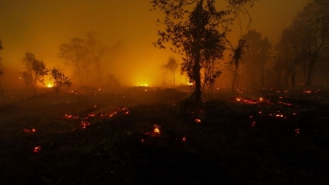 simlipal forest fire