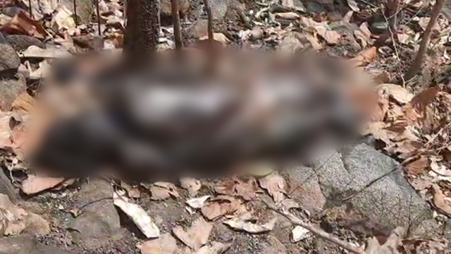 dead body found in odisha today
