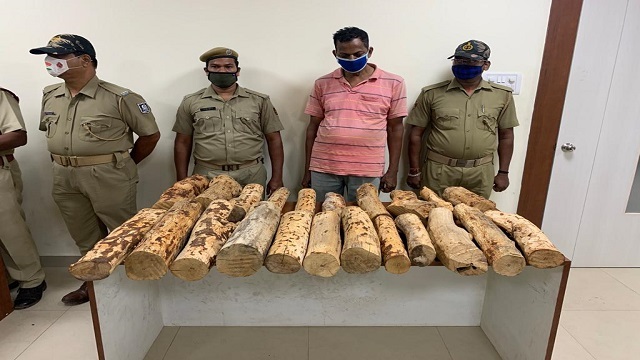 sandalwood seized in cuttack