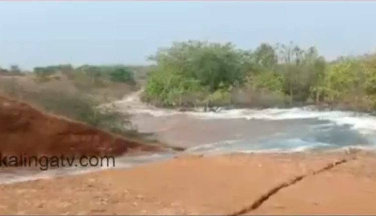 embankment breach odisha