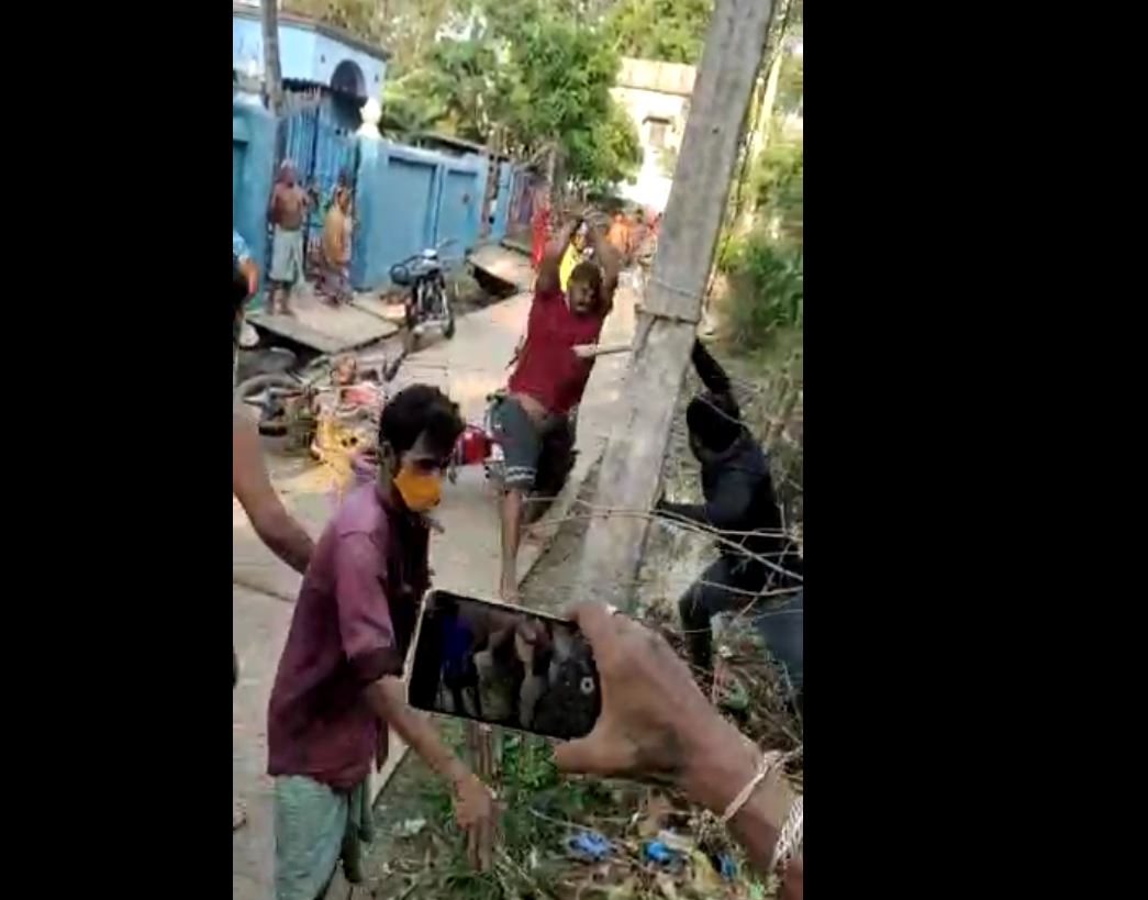 Group clash in Odisha's Balasore dist over love affair, Watch viral video